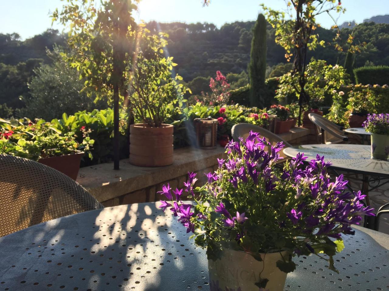 Le Grand Jardin Bed & Breakfast Lafare Екстериор снимка
