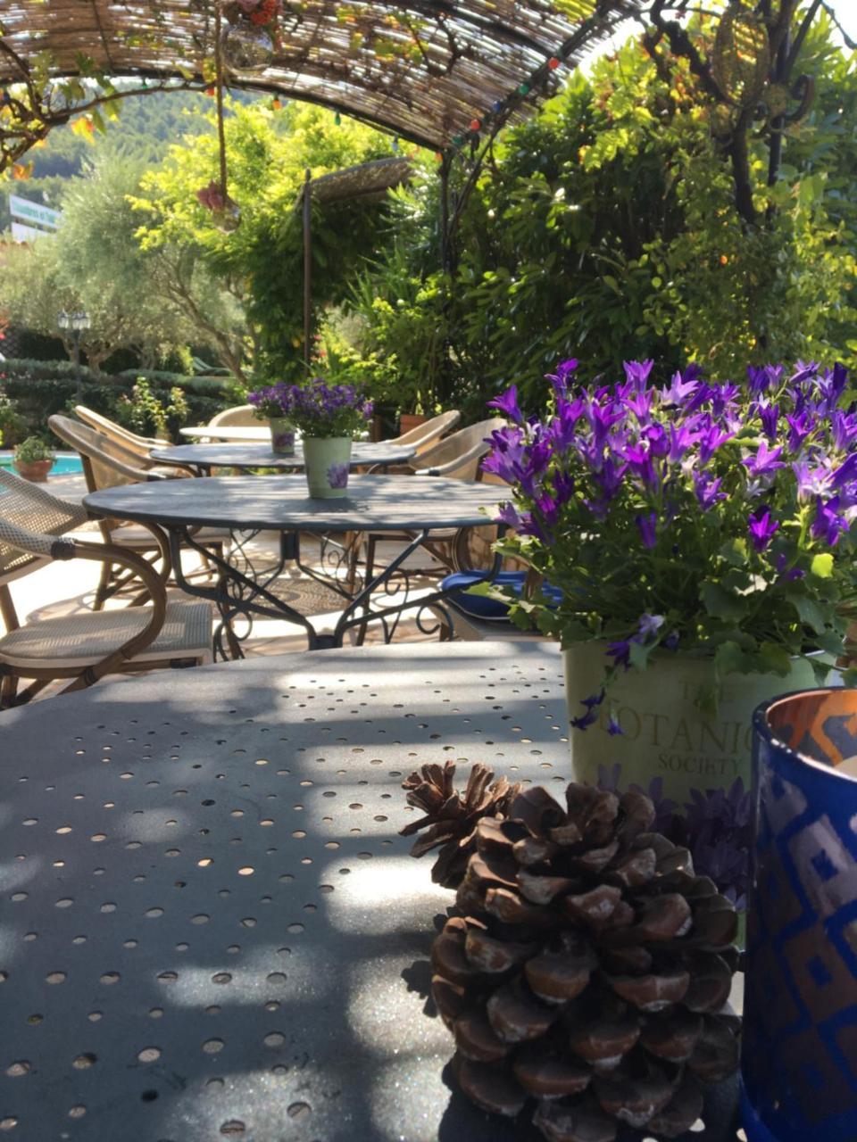 Le Grand Jardin Bed & Breakfast Lafare Екстериор снимка